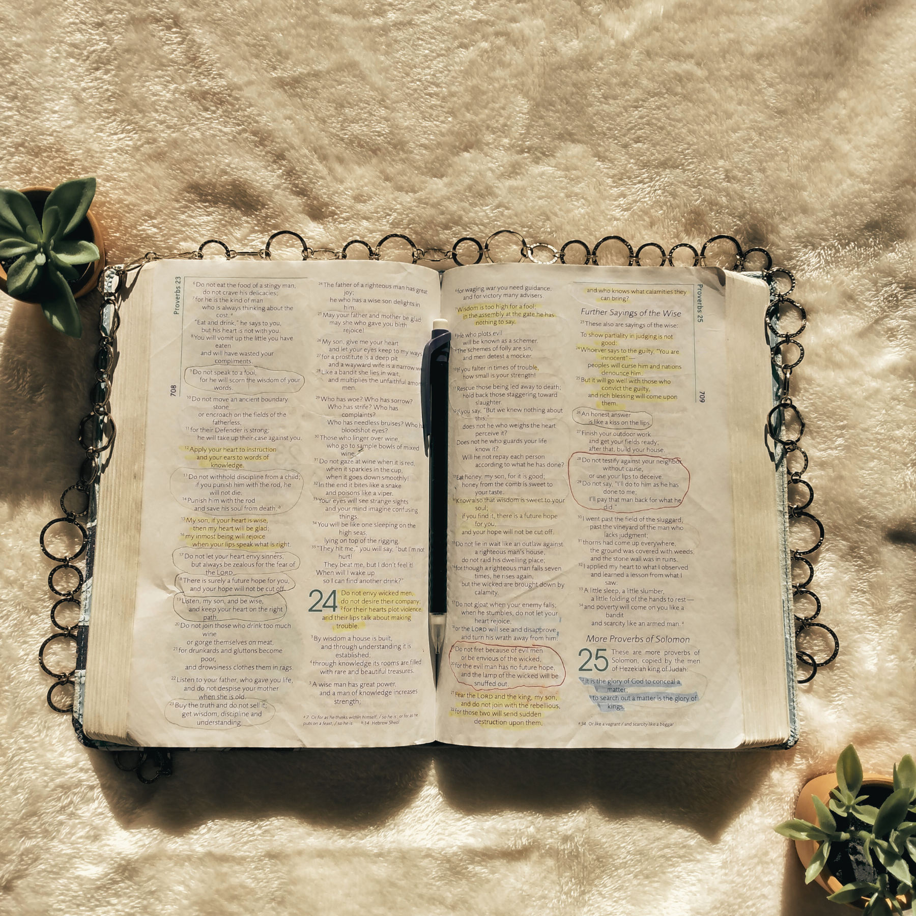 How To Make The Most Out Your Bible Study Time